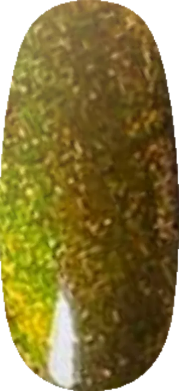 Delusions of Grandeur swatch