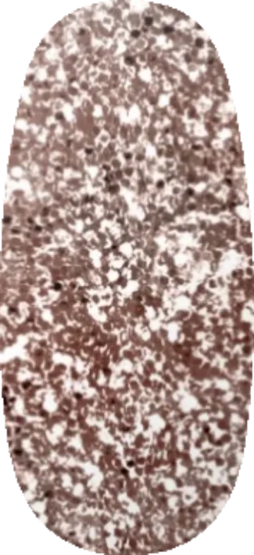 Dark Charm swatch