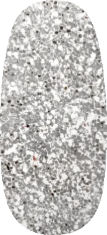 Silver #207 swatch