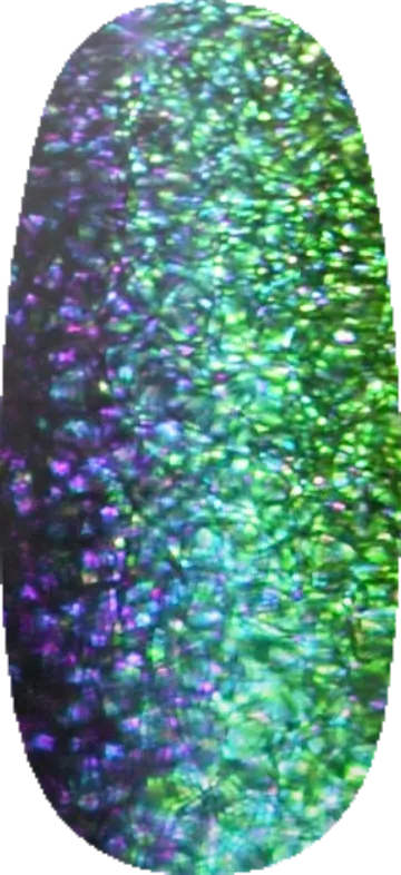 Chameleon Coat swatch