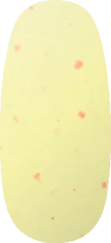 Lemon Cake swatch