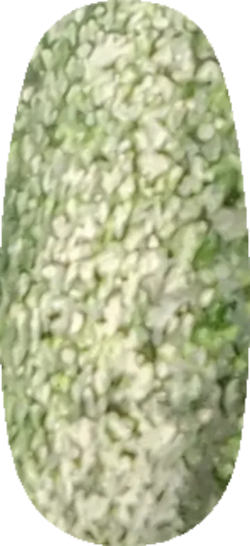 Garden Mist swatch
