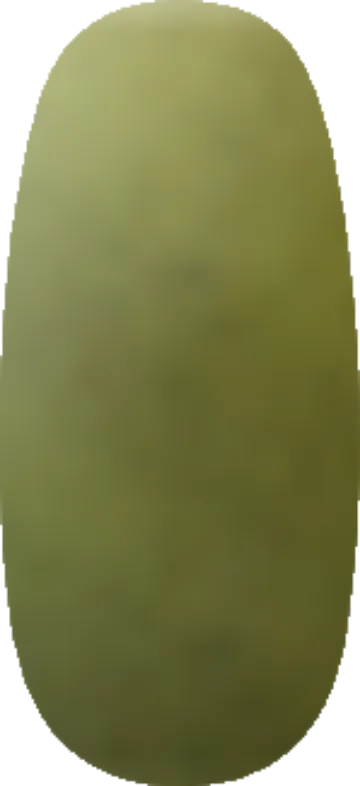 Golden Green swatch