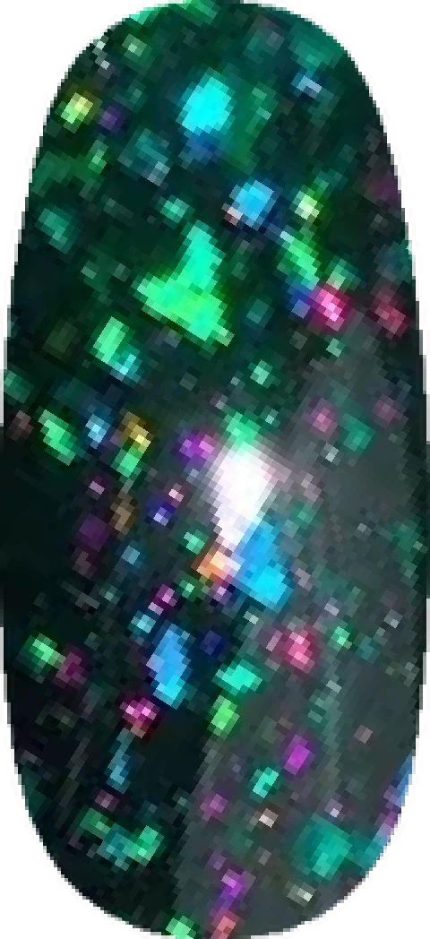 Haunted Forest swatch