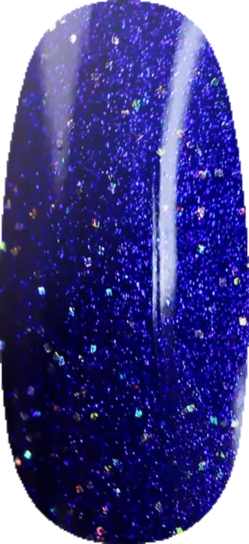 Midnight Rider swatch
