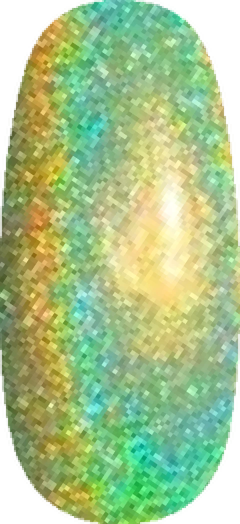 Warp Zone swatch