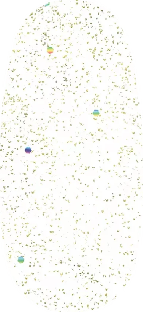 Grand Jewels swatch