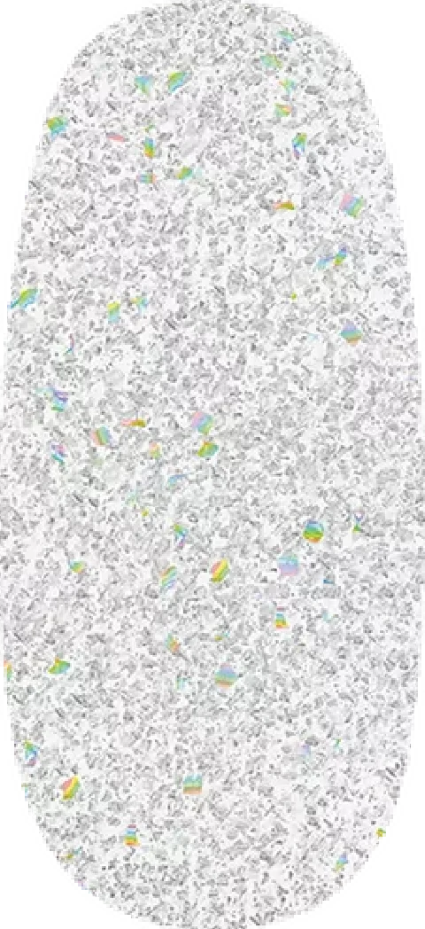 Water Field swatch