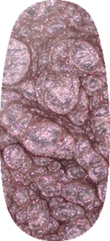 Forward Momentum swatch