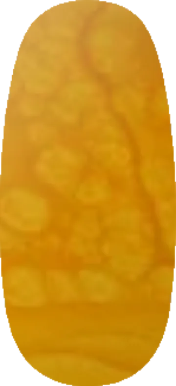 Gilded Dune swatch
