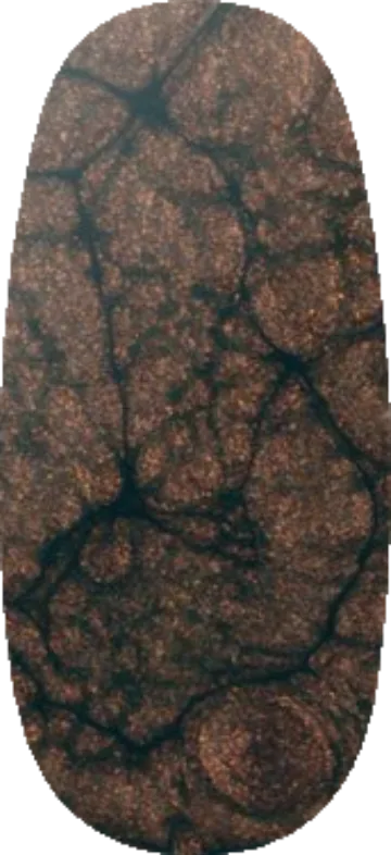 Metamorphosis swatch