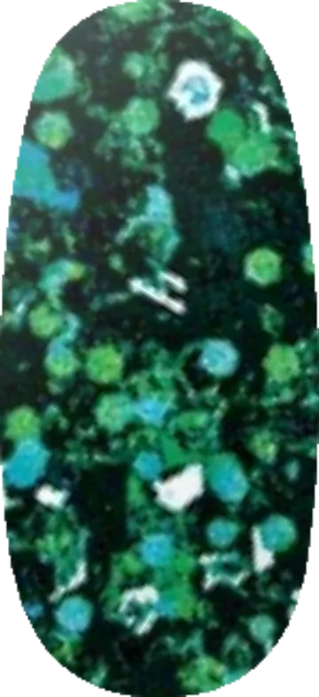 Fanta-Seas swatch