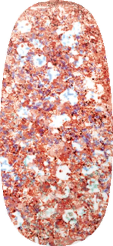 Shooting Star swatch