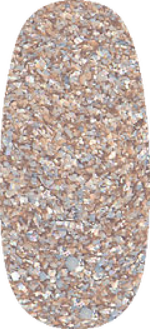 Brighton swatch